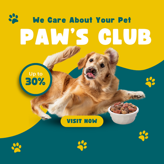 Dress to Impress: The Ins and Outs of Pet Clothing